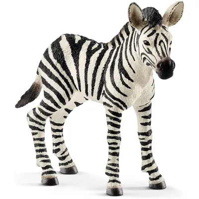 Obrázok produktu pre SCHLEICH Wild Life® 14811 Mláďa zebry