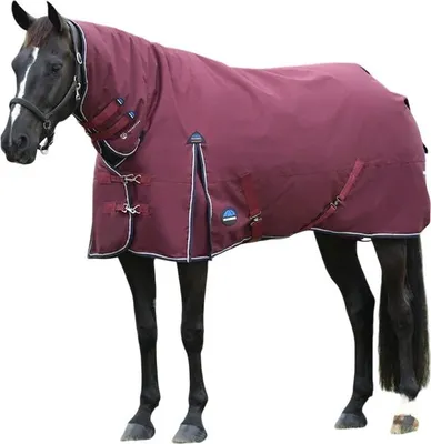 Productafbeelding van Weatherbeeta - "Comfitec Essential" combinatie deken met hals, 220 gram, paardendeken WB2377 (206 cm) (Burgundisch rood)