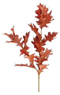 Obrázok produktu pre Countryfield umelá vetva Quercus červená 20xh94cm