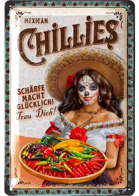 Produktbild von LANOLU Retro Blechschild CHILLES - Retro Deko Küche - Vintage Küchen Schild, Metallschild mit Spruch, 20x30cm