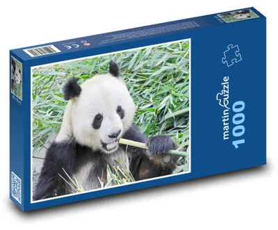 Zdjęcie produktu dla martinpuzzle - Puzzle 1000 elementów - Panda