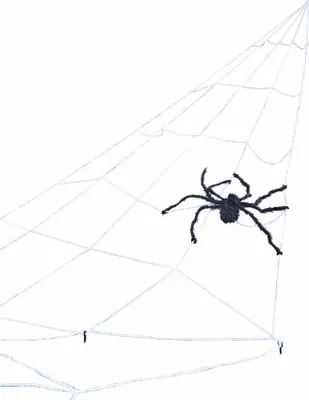 Produktbild von Großes Spinnennetz mit Riesenspinne (7 x 5,5 m)