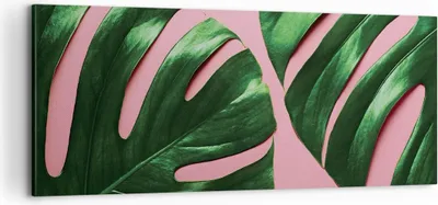 Produktbild von Bild auf Leinwand - Leinwandbild - Einteilig - Monstera Blatt Rosa - 100x40cm - Wand Bild - Wanddeko - Wandbilder - Leinwanddruck - Bilder - Wanddekoration - Leinwand bilder - Wandbild - AB100x40-4407