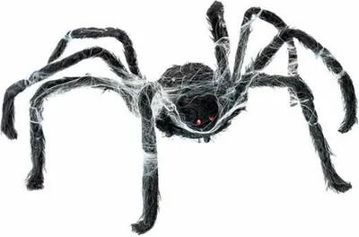 Obrázek produktu pro Halloweenská dekorace Moje druhé já 80 x 18 x 8 cm pavouk