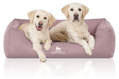 Immagine prodotto di Letto ortopedico per cani Leon in velluto XL rosa
