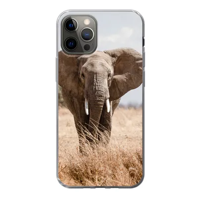 Produktbild von MuchoWow® Handyhülle Schutzhülle Hülle für iPhone 12 Pro Elefant - Natur - Tiere - Porträt Silikon Softcase Handy Hülle - Abdeckung