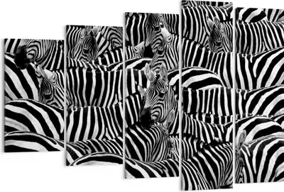 Produktbild von Bild auf Leinwand - Leinwandbild - Tiere Zebra Streifen - 150x100cm - Wand Bild - Wanddeko - Leinwanddruck - Bilder - Kunstdruck - Wanddekoration - Leinwand bilder - Wandkunst - EG150x100-0340