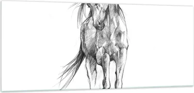 Produktbild von Bilder auf glas - Einteilig - Pferd Galopp Tier - 100x40cm - Glasbilder - Wandbilder - Bilder - zum Aufhängen bereit - Wanddekoration aus Glas - Glas Bilder - Wandbild auf Glas - GAB100x40-5080