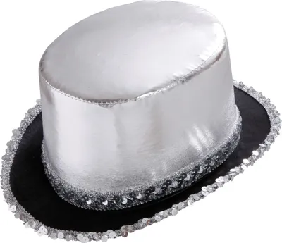 Image de Cylindre "Showtime" avec paillettes | Argent