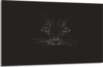 Produktbild von Glasschutzplatte für den Herd 80x52 Cat