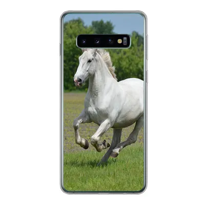 Produktbild von MuchoWow® Handyhülle Schutzhülle Hülle für Samsung Galaxy S10 Pferde - Natur - Weiß Silikon Softcase Handy Hülle - Handytasche