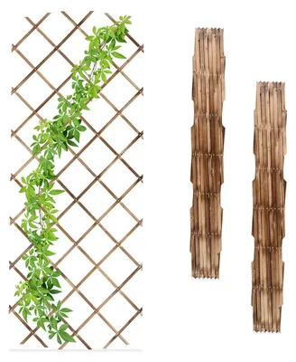 Produktbild von Ausziehbares Pflanzenspalier-Set, 180x90 cm, 3er-Pack