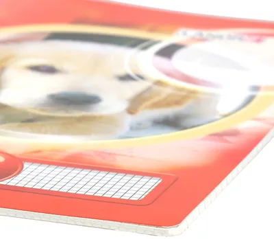 Produktbild von Schulheft A4 32 Blatt 80 g/qm Lineatur 7 (kariert 7 mm) Packung mit 10 Stück