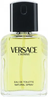 Productafbeelding van Versace L'homme Eau De Toilette (100 ml)