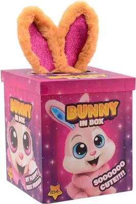 Image de Surprise Knuffel Konijn in Doos