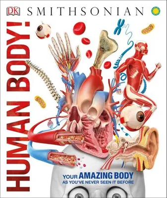 Image de Knowledge Encyclopedia Human Body!