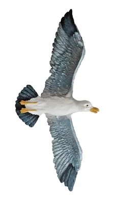 Produktbild von Wanddeko Möwe Wandbild Maritim Deko Wand Hänger See Vogel Tier Skulptur Figur