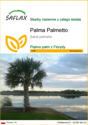 Zdjęcie produktu dla SAFLAX - Palma Palmetto - 8 Nasiona - Sabal palmetto