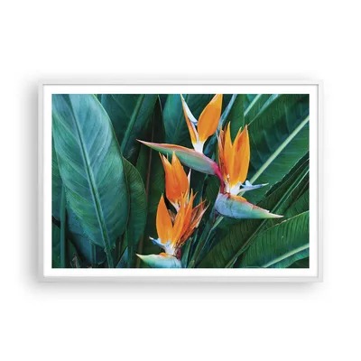 Produktbild von Gerahmtes Poster - Weißer Rahmen - Himmlisch Vogel Blume - 100x70 cm - Wand Bild - Wanddeko - Wandbilder - Kunstposter - Wandposter - Bilderrahmen - Bilder - Kunstdruck - P2WAA100x70-4980