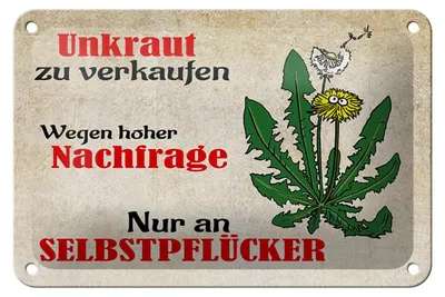 Produktbild von Blechschild Spruch 18x12cm Unkraut nur an Selbstpflücker