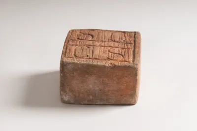 Immagine prodotto di Salva Arrigoni forma intera circa 3,2 kg.