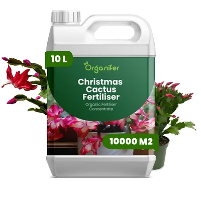 Produktbild von Weihnachtskaktus Flüssigdünger 10L – 2-1-8 NPK – Flüssigdünger Für Sukkulenten – Für Üppige Winterblüte & Gesunde Pflanzen – Organifer