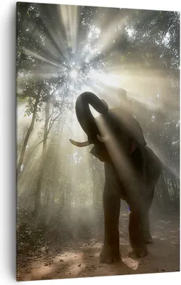 Produktbild von Bild auf Leinwand - Leinwandbild - Einteilig - Elefant Dschungel  - 80x120cm - Wand Bild - Wanddeko - Wandbilder - Leinwanddruck - Wanddekoration - Leinwand bilder - Wandbild - PA80x120-3835