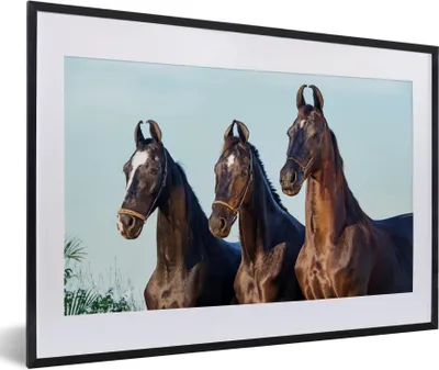 Produktbild von MuchoWow® Gerahmtes Poster Pferde - Halfter - Braun 60x40 cm - Poster mit Schwarzem Bilderrahmen Wandposter Rahmen Foto Bilder - Schlafzimmer - Plakat in Rahmen - Drucken