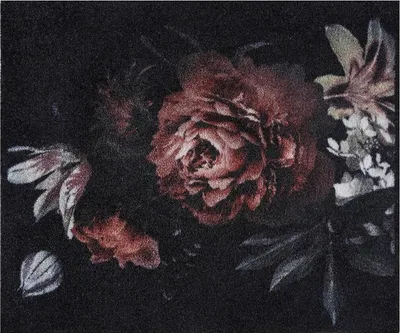 Produktbild von MD Entree Walk&Wash | Eingangsmatte - Teppichmatte - Küchenteppich,Größe:67x80 cm;Motiv:bella rosa