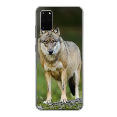 Produktbild von MuchoWow® Handyhülle Schutzhülle Hülle für Samsung Galaxy S20 Plus Wolf - Asien - Pflanzen Silikon Softcase Handy Hülle - Hartschale