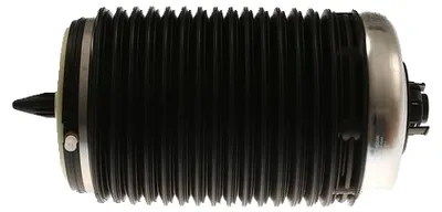 Image de Jambe de suspension pneumatique