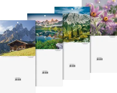 Produktbild von 2026 Brunnen Rückwand 145×295 mm 4003273056251