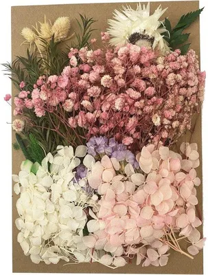 Productafbeelding van Famanu Droogbloemen set voor aromatherapie en creatieve projecten - Doe-het-zelf set met natuurlijke, gedroogde bloemblaadjes