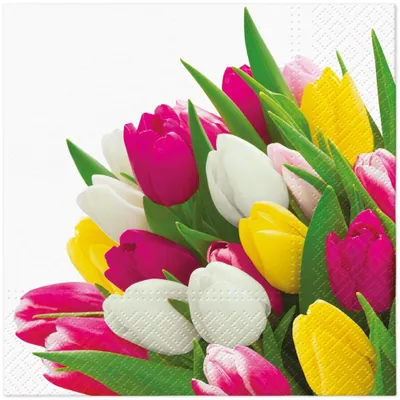Zdjęcie produktu dla 20 serwetek Bunch of Tulips – kolorowy bukiet tulipanów 33 x 33 cm