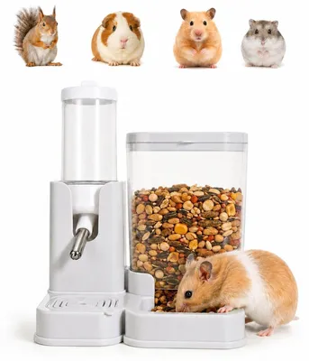 Immagine prodotto di Borraccia e distributore di cibo 2-in-1, grigia, da 80 ml/320 ml, per piccoli animali