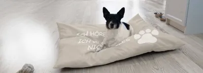 Produktbild von XL Hundekissen Hundebett Schlafplatz Hundematte Tierbett Katzenbett 70x100 cm