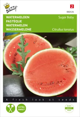 Artikelbild 2 von 'Wassermelone Sugar Baby' aus der Kategorie Wassermelonensamen