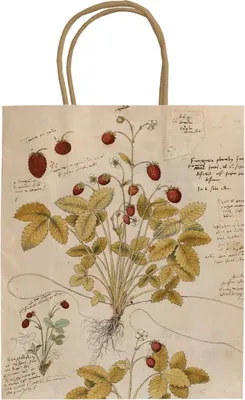 Productafbeelding van Cadeautas van papier, model "Anno 1550", met aardbeienprint