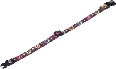 Image de Collier Nobby Paw L : 20-35 cm ; l : 10 mm