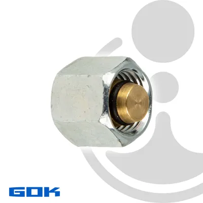 Produktbild von GOK Blindstopfen RVS mit Überwurfmutter Typ BSL, Grösse: 8 mm