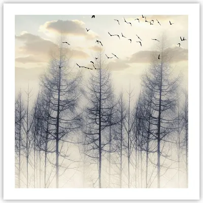 Produktbild von Poster - Poster ohne Rahmen - Bäume Vögel Himmel - 60x60 cm - Wand Bild - Wanddeko - Wandbilder - Kunstposter - Wandposter - Bilder - Kunstdruck - Wanddekoration - Wandbild - P2XAC60x60-4546