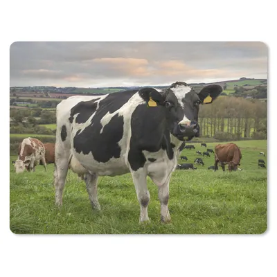 Produktbild von MuchoWow® Mauspad Mousepad Kühe - Tags - Gras 40x30 cm - Mousepads - Maus Mat - Pad - Mausunterlage - Anti Rutsch