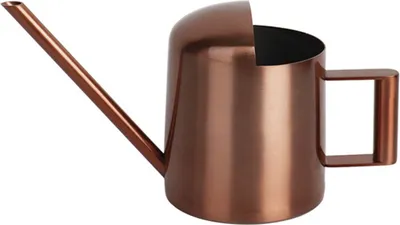 Produktbild von 300ml Gießkannen Pflanz Gießkanne aus Edelstahl für Zimmerpflanzen Blumengießkanne (Braun)