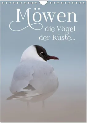 Produktbild von Möwen - die Vögel der Küste (Wandkalender 2026 DIN A4 hoch), CALVENDO Monatskalender
