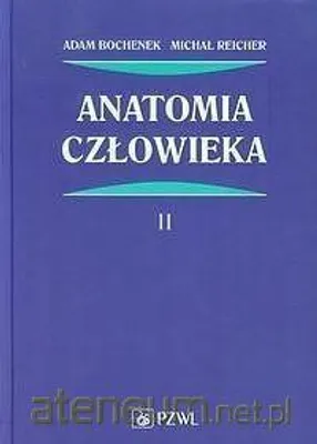Produktbild von Anatomia człowieka T.2