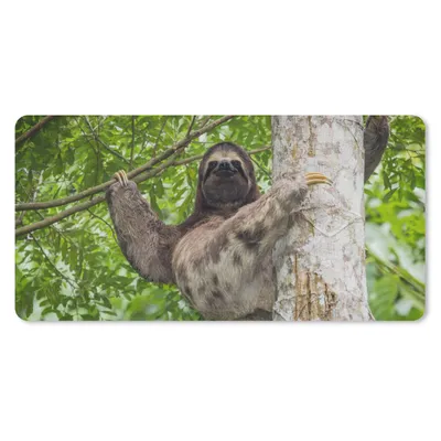 Produktbild von MuchoWow® Mauspad Mousepad Ein Faultier klettert auf einen Baum in grüner Umgebung 60x30 cm - Mousepads - Maus Mat - Pad - Mausunterlage - Nachhaltig