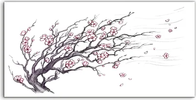 Produktbild von Coloray Spritzschutz aus Glas 120x60  Wandkunst Küchenrückwand Foto Blumen Japanischer Kirschbaum