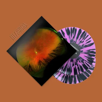 Produktbild von ++ GREG PUCIATO Mirrorcell – 2LP-Ausgabe, limitierte Auflage