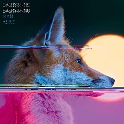 Produktbild von Everything Everything: Man Alive -   - (LP / M)