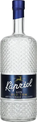 Image de Kapriol OLD TOM Gin Artigianale Italiano 41,7% Vol. 0,7l